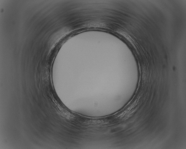X0000062601115200601110935