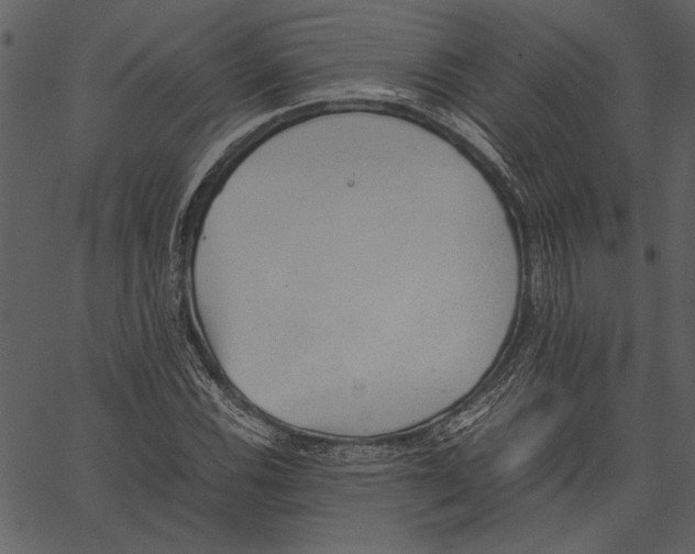 X0000062601116200601110935
