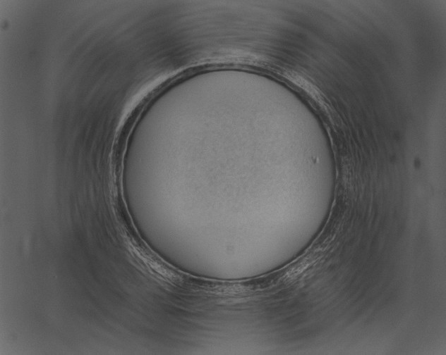 X0000062601120200601110935