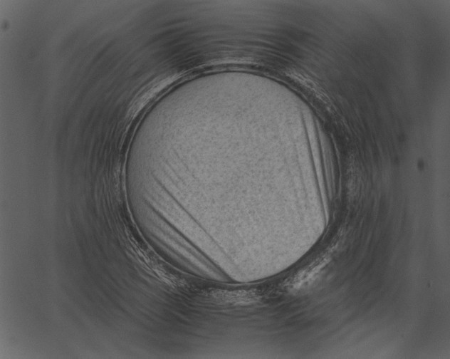 X0000062601121200601110935