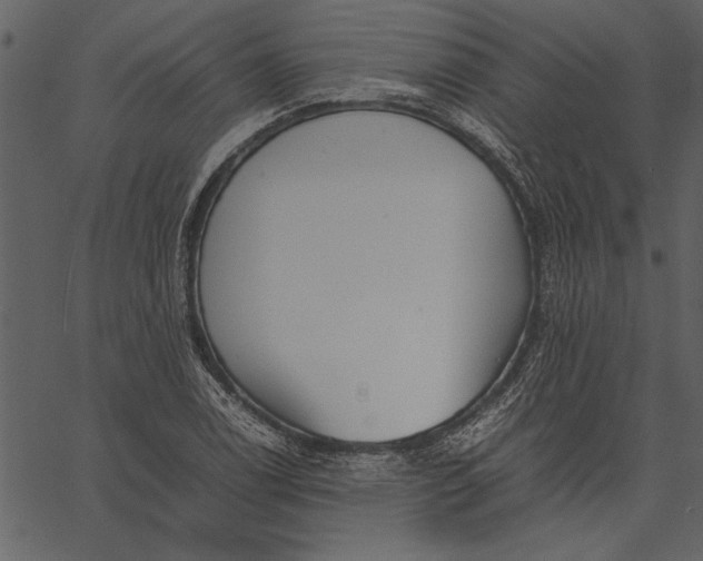 X0000062601122200601110935