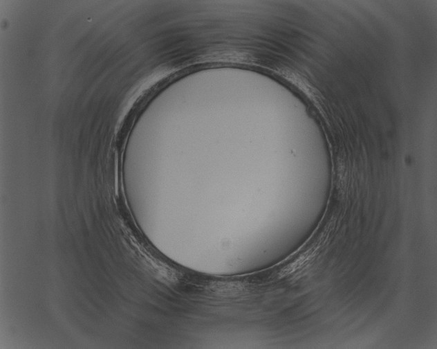 X0000062601123200601110935