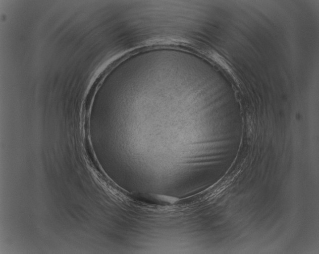 X0000062601124200601110935