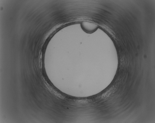 X0000062601126200601110935