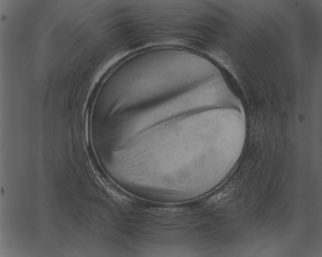 X0000062601127200601110935