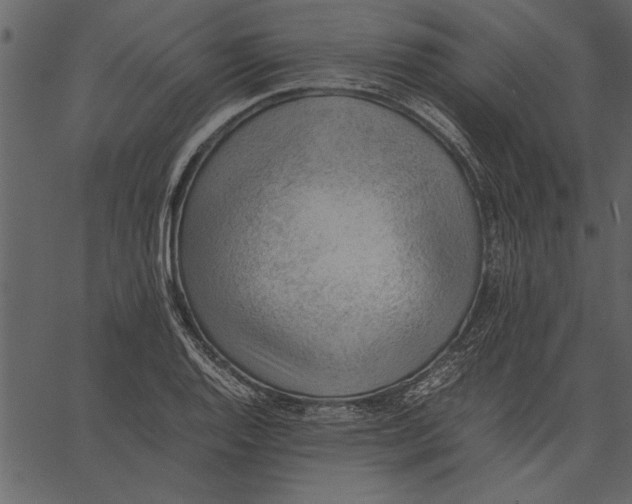 X0000062601128200601110935