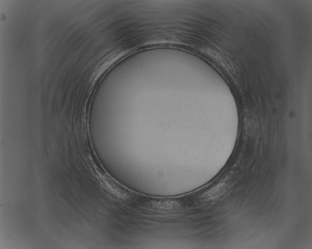 X0000062601129200601110936