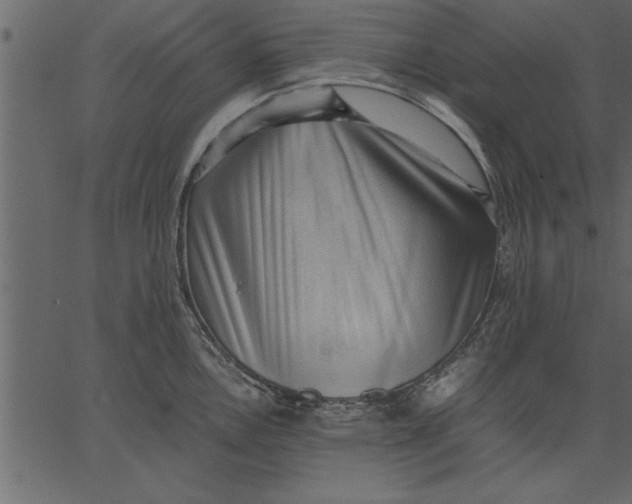 X0000062601146200601110936