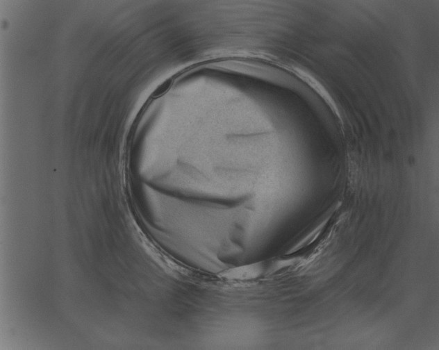 X0000062601148200601110936