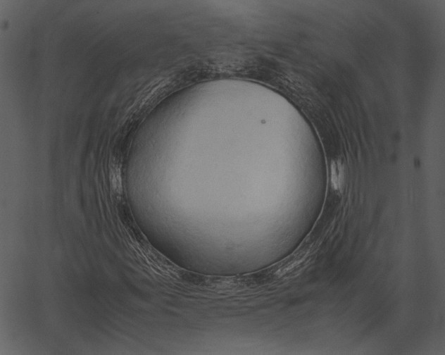 X0000062601155200601110935