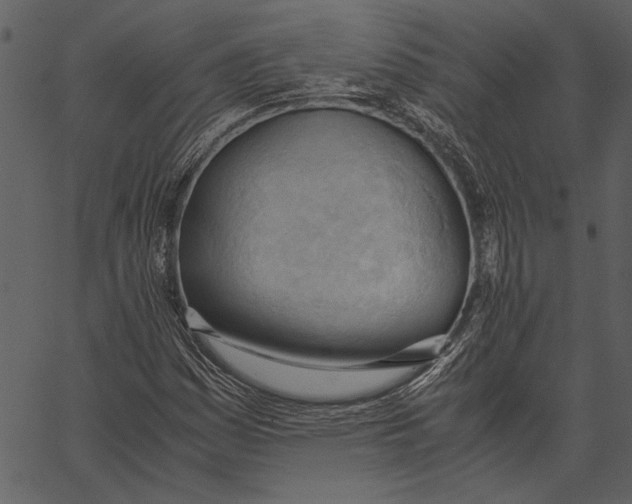 X0000062601161200601110935
