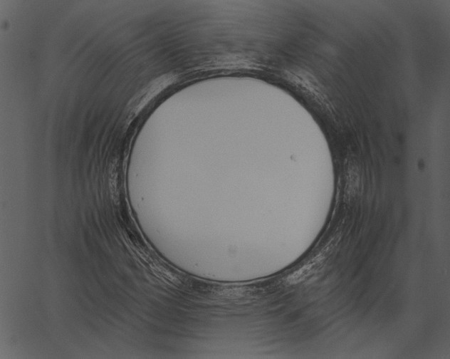 X0000062601162200601110935