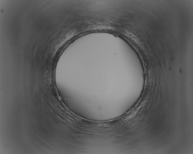 X0000062601165200601110935