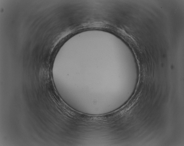 X0000062601166200601110935