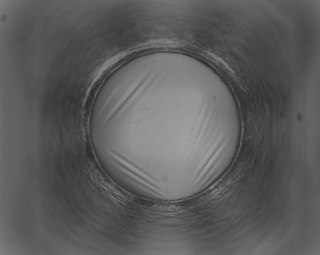 X0000062601168200601110935