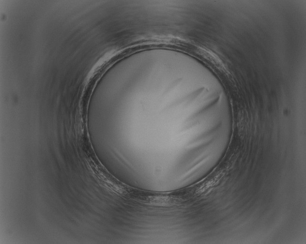X0000062601172200601110935