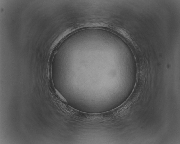 X0000062601173200601110935