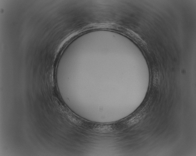 X0000062601174200601110935