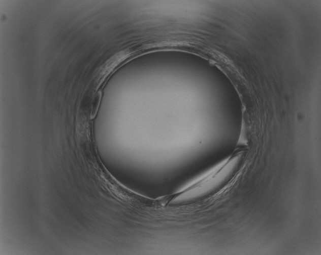 X0000062601177200601110935
