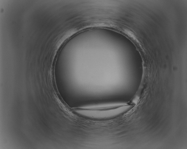 X0000062601181200601110935