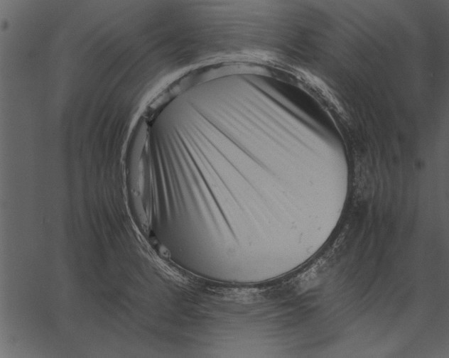 X0000062601184200601110935