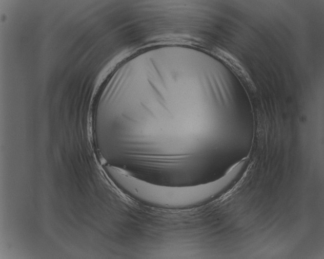 X0000062601188200601110935
