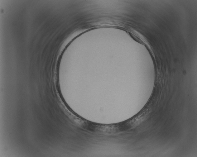 X0000062601195200601110934