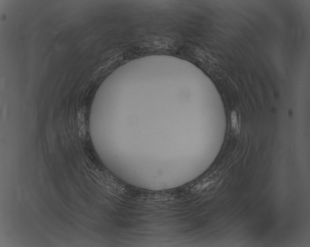 X0000062601203200601110934