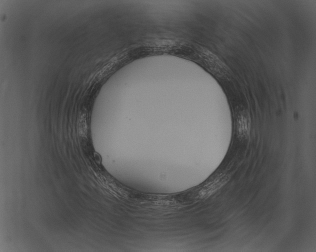 X0000062601204200601110934