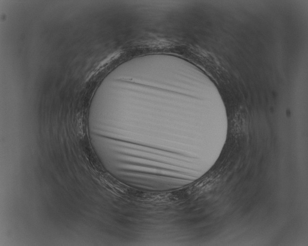 X0000062601205200601110934