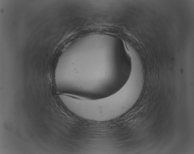 X0000062601206200601110934