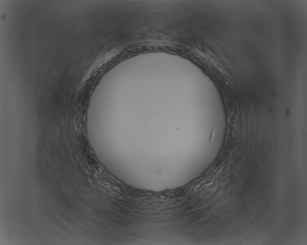 X0000062601207200601110934