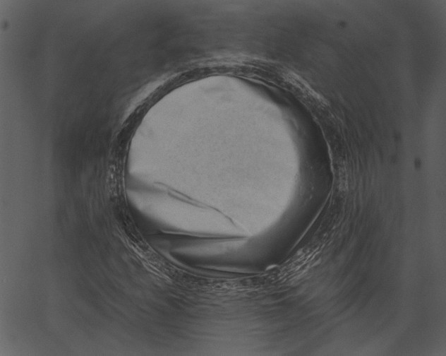 X0000062601208200601110934