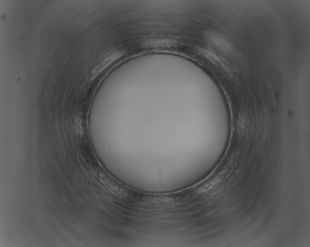 X0000062601209200601110934
