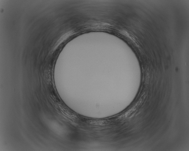 X0000062601211200601110934