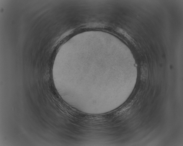 X0000062601213200601110934
