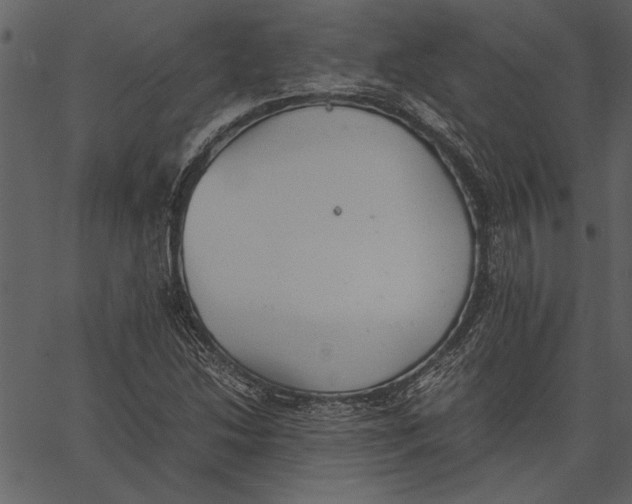X0000062601214200601110934