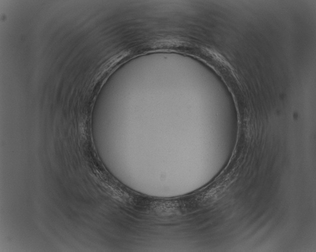 X0000062601217200601110934