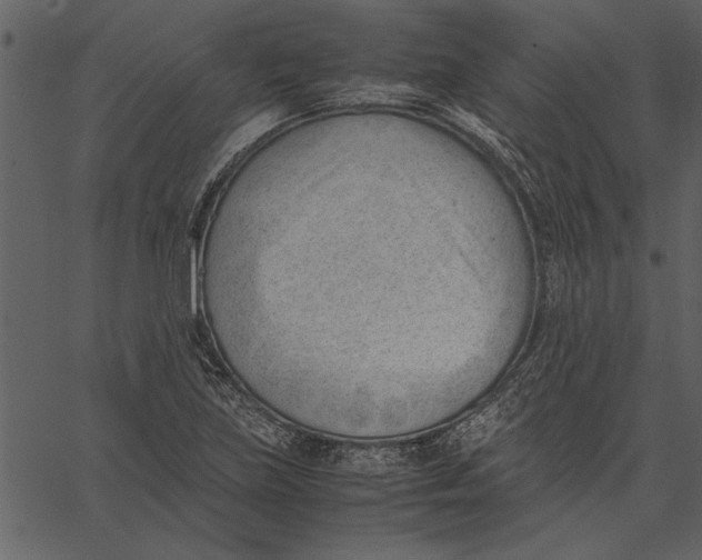 X0000062601219200601110934