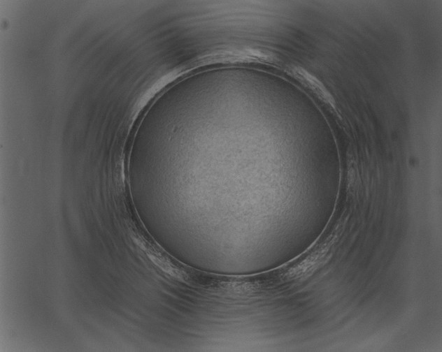 X0000062601226200601110934