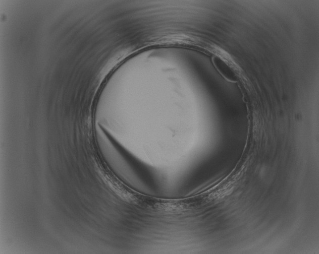 X0000062601234200601110934