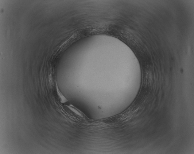 X0000062601250200601110933