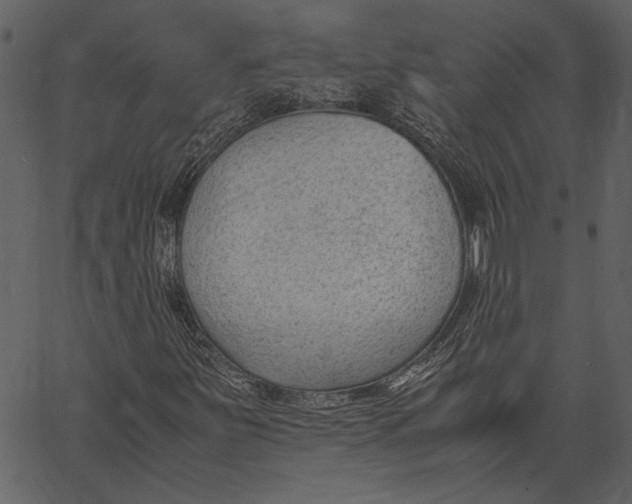 X0000062601251200601110933