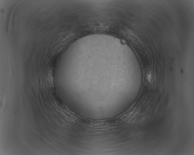 X0000062601252200601110933