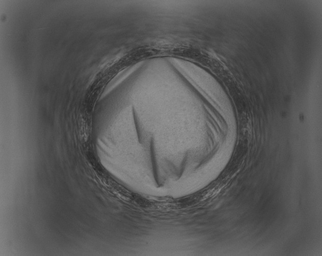 X0000062601253200601110933
