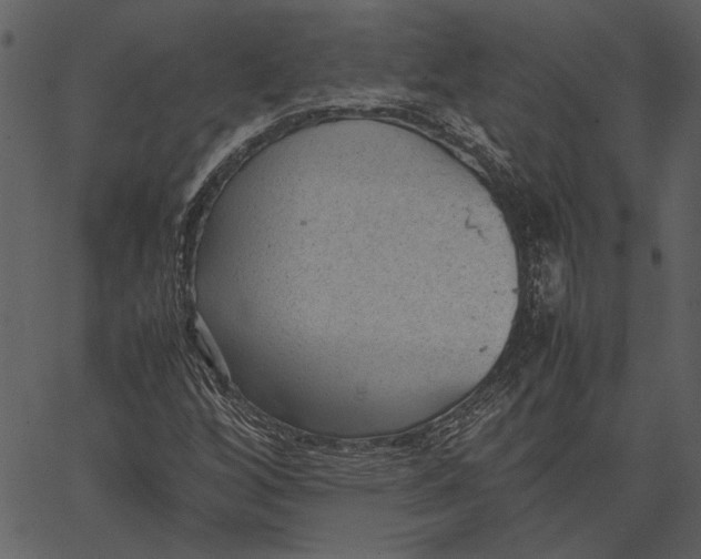 X0000062601256200601110933