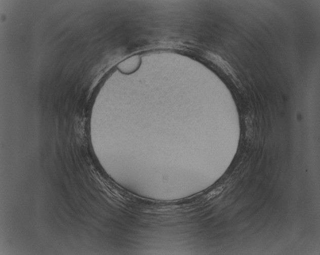 X0000062601260200601110933