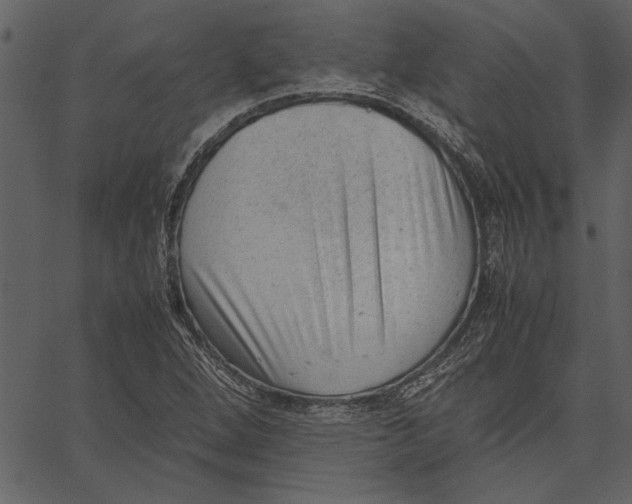 X0000062601264200601110933