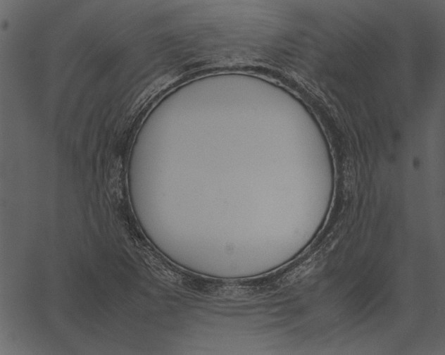 X0000062601265200601110933