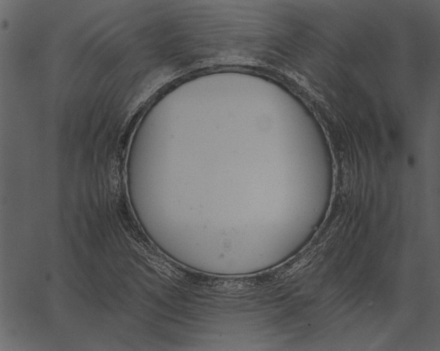 X0000062601266200601110933